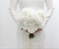 Bride holding a white bridal bouquet against a plain background