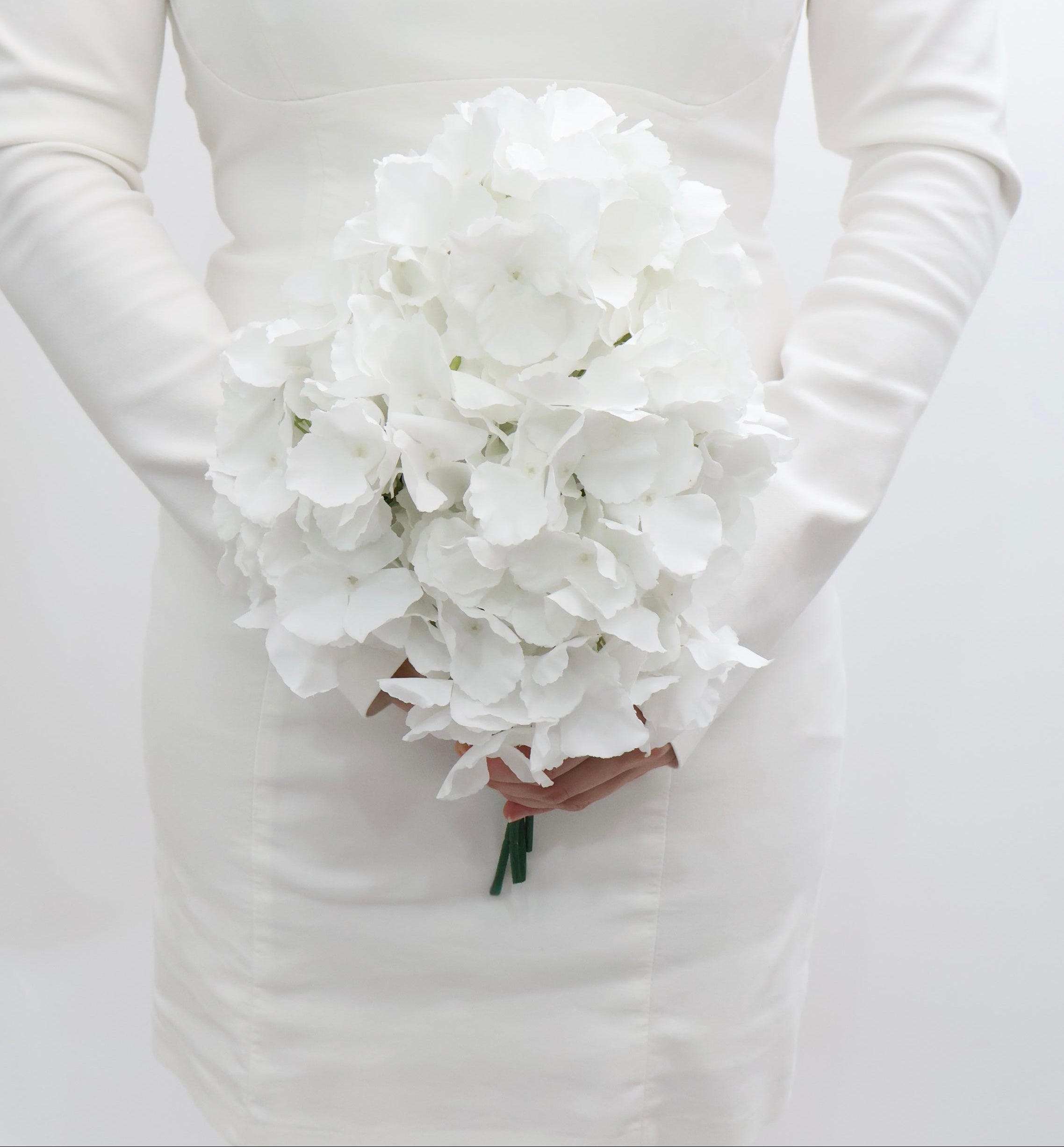 Bride holding a bouquet of white hydrangeas flowers against a plain background