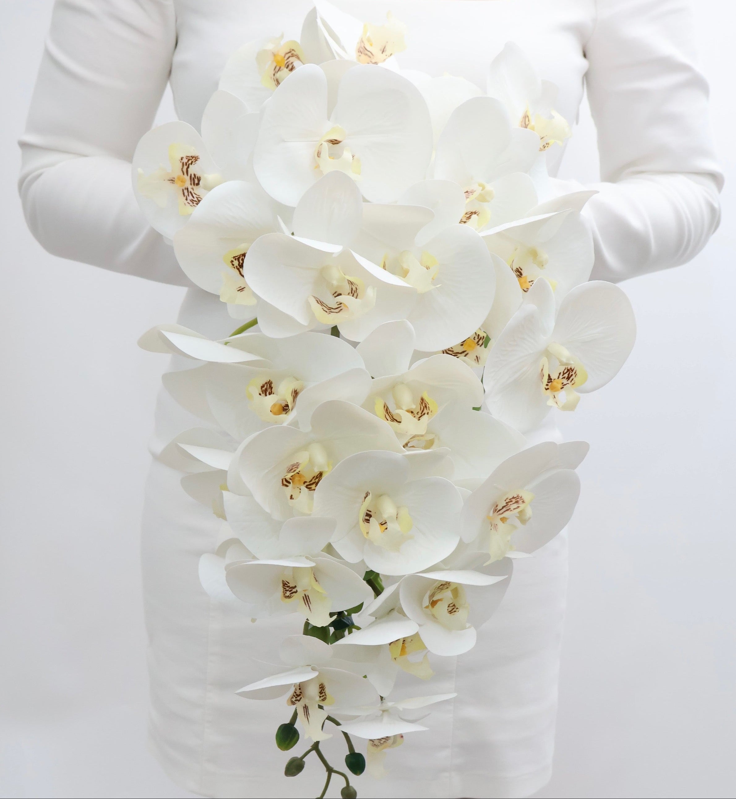 Bouquet of white cascading orchids held by a bride wearing a white long-sleeve dress.