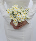 The Maya - Daisy Microbouquet